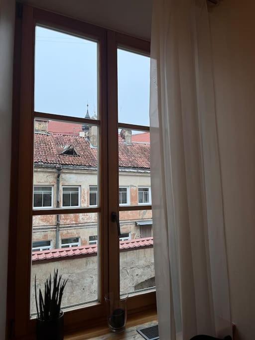 Vilnius Old Town Coziness 아파트 외부 사진
